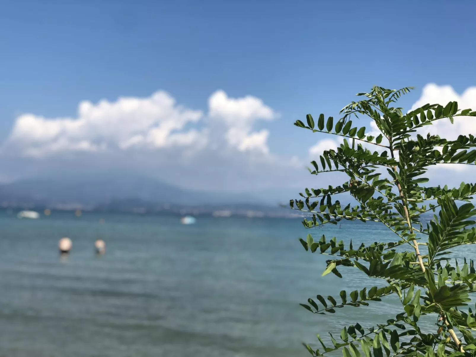 Gemütliche Drei-Zimmer-Wohnung mit Balkon-Buiten