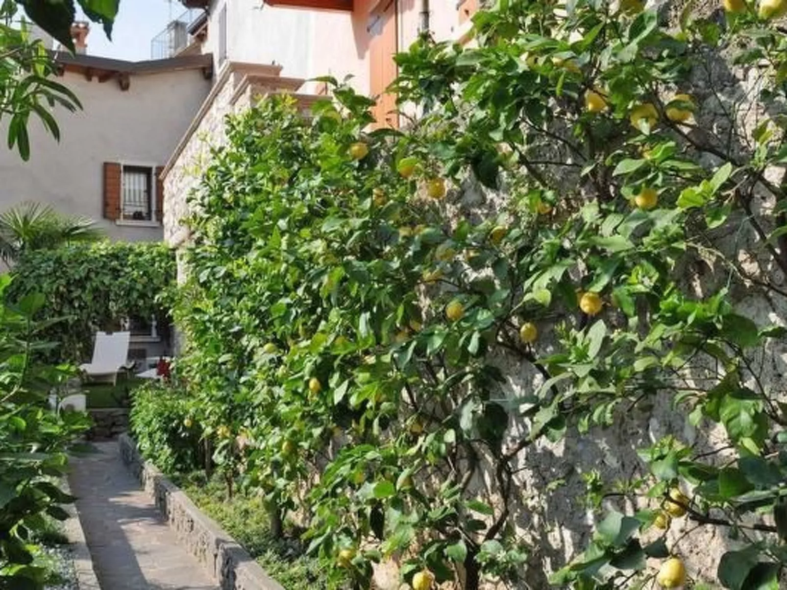 'La Casetta Limone - Buiten