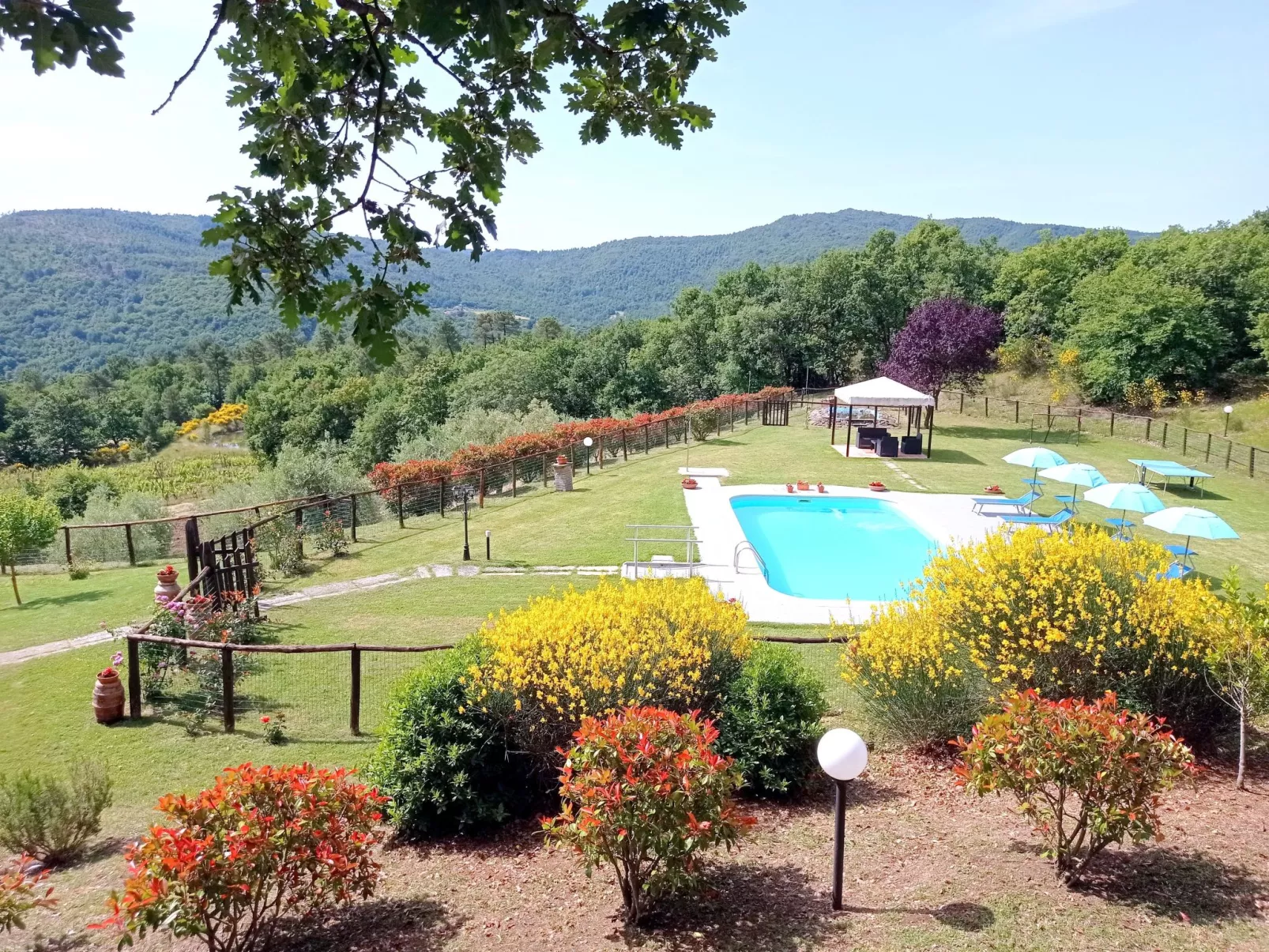 Wohnung la Mimosa-Image-tags.info