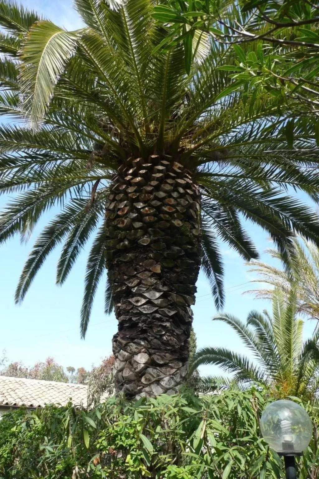 In Marina Di Modica mit Großer Terrasse-Image-tags.info