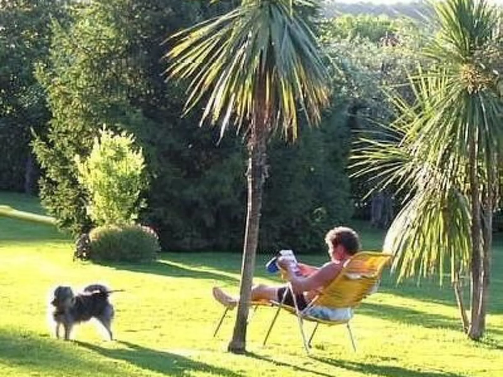 Studio in Strandnähe-Buiten