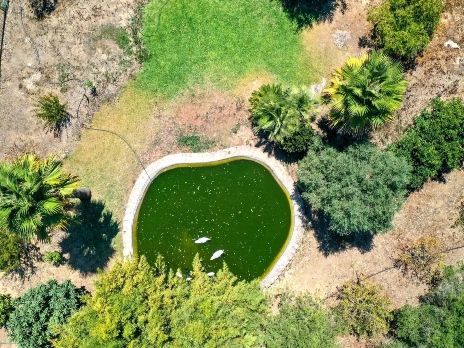 Prächtiges Landhaus mit spektakulärer Aussicht-Image-tags.info