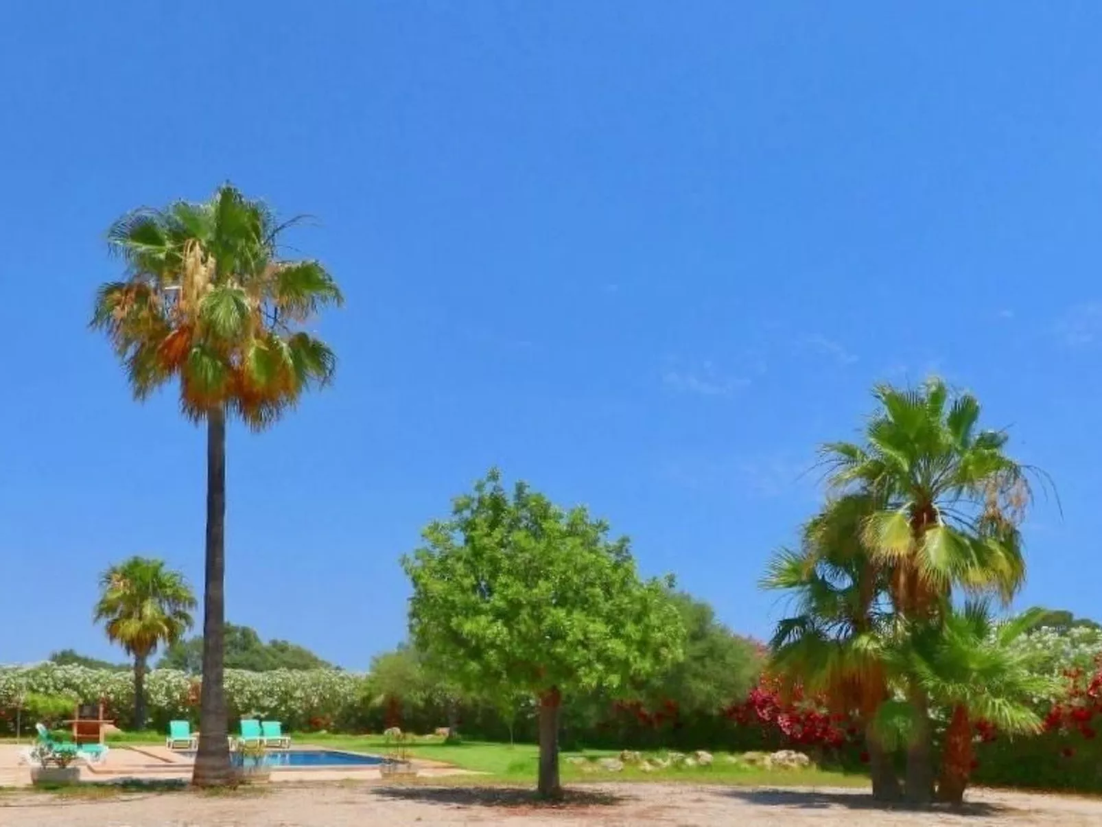 Poolfinca Can Acebal-Buiten