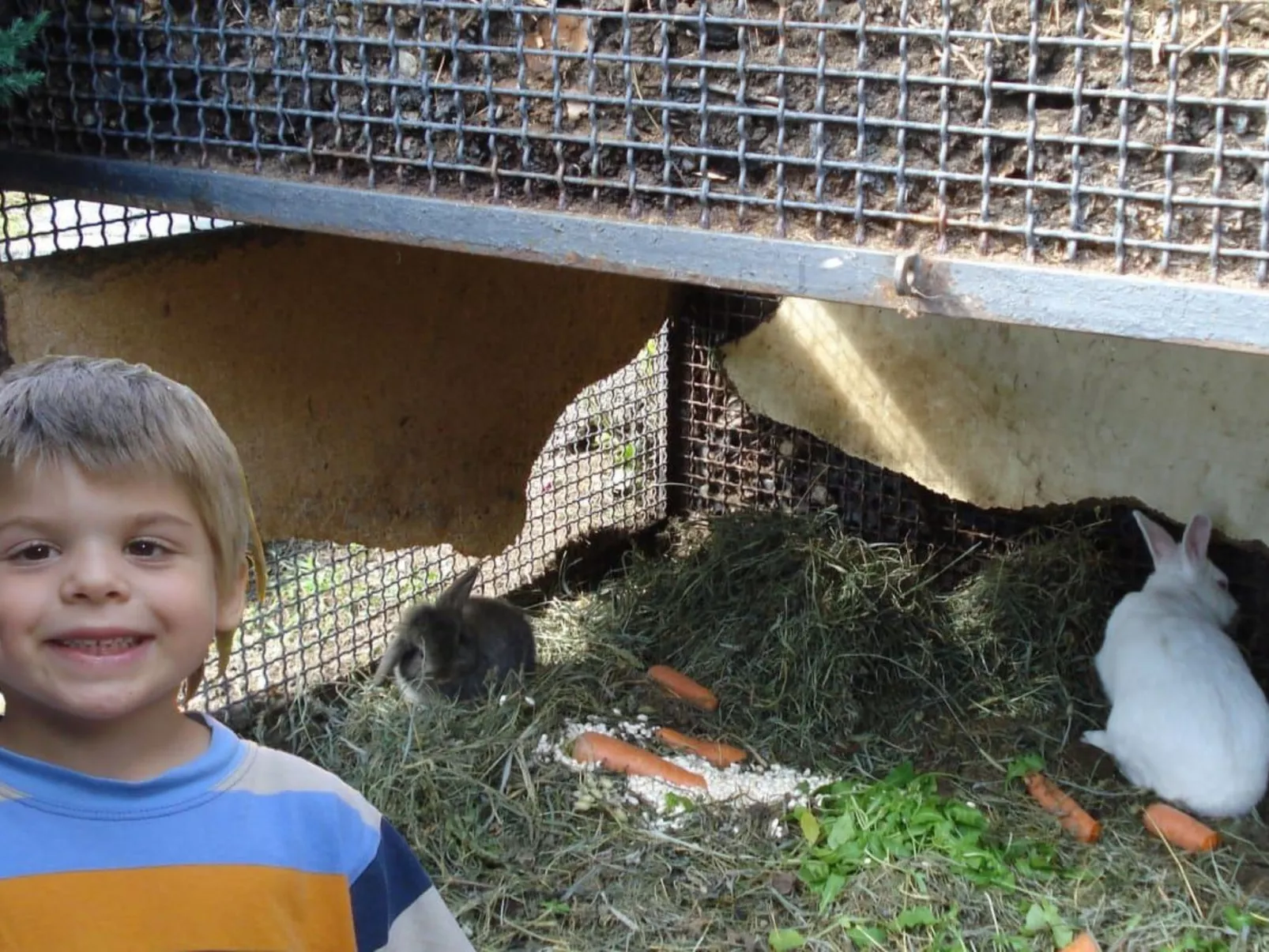 Asti-Image-tags.info