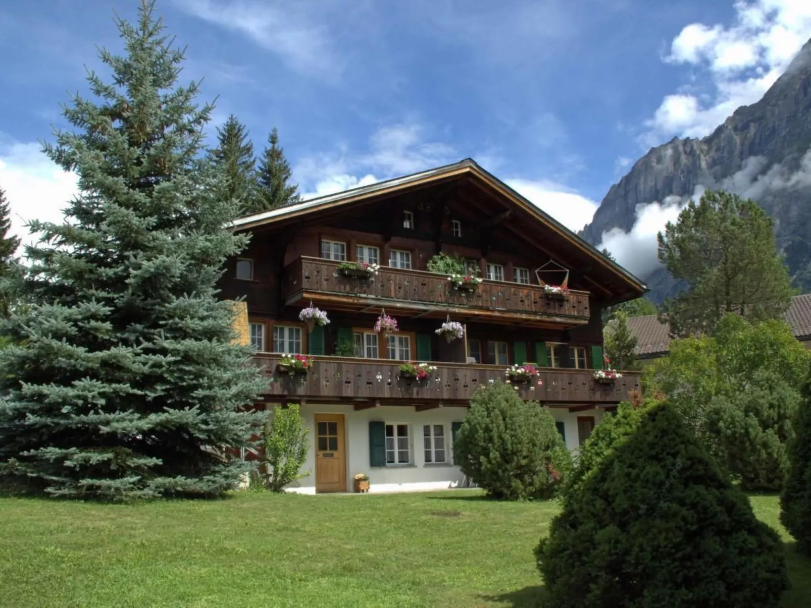 Heidi-Image-tags.info