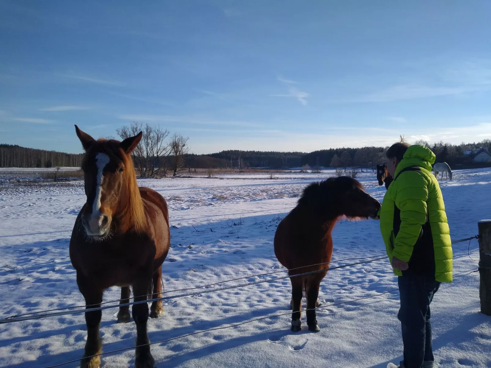 Vogelecke - abseits des Trubels und der Hektik-Image-tags.info