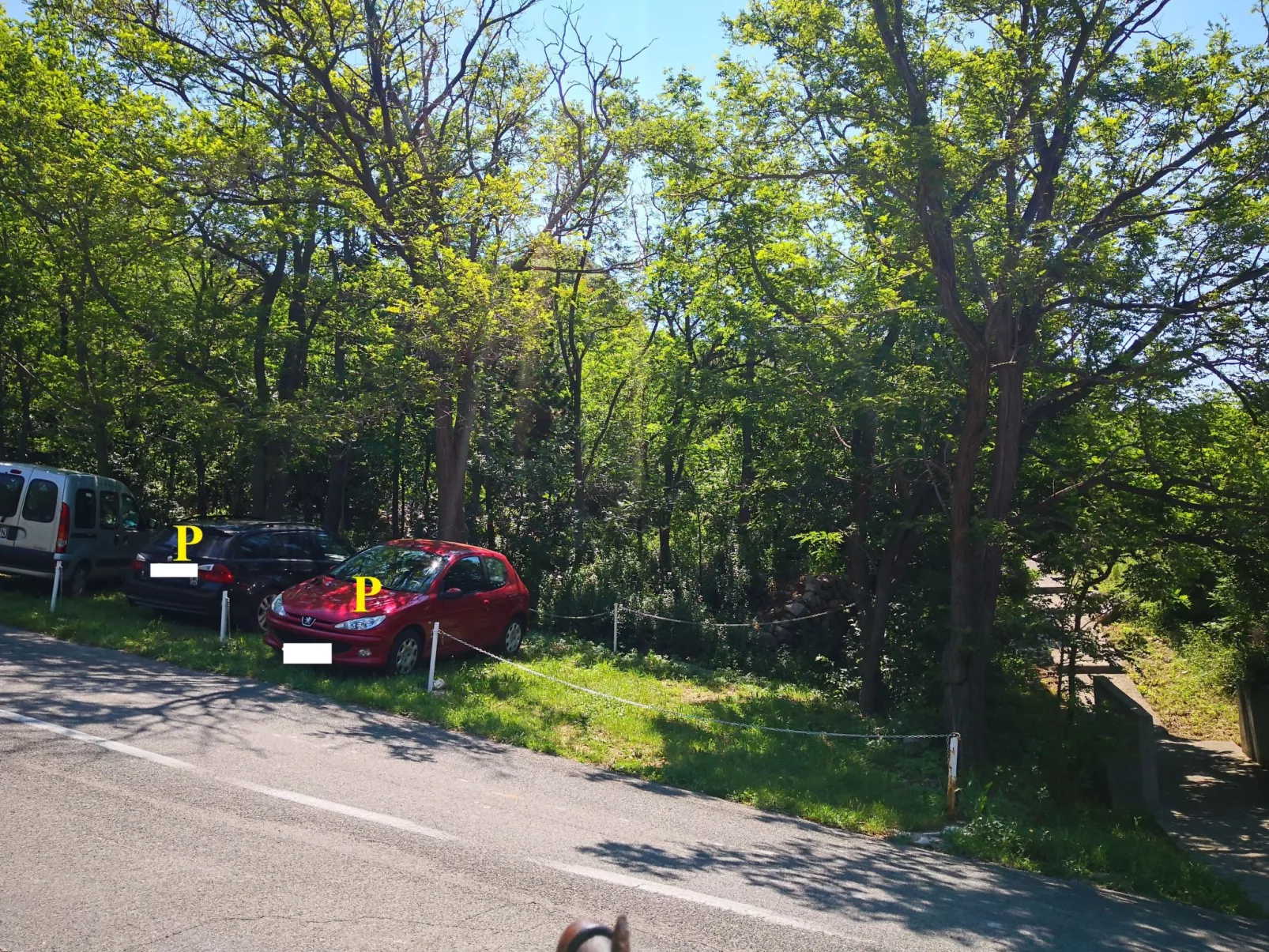 C. Silvija Bs-Buiten