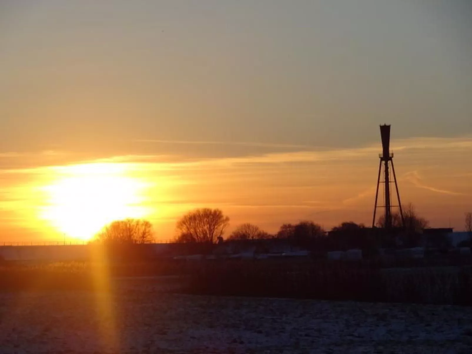 Eul in Butjadingen-Großwürden-Buiten