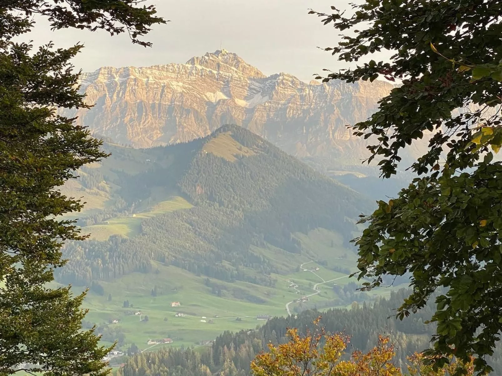 Alpakahof Ferien-Image-tags.info