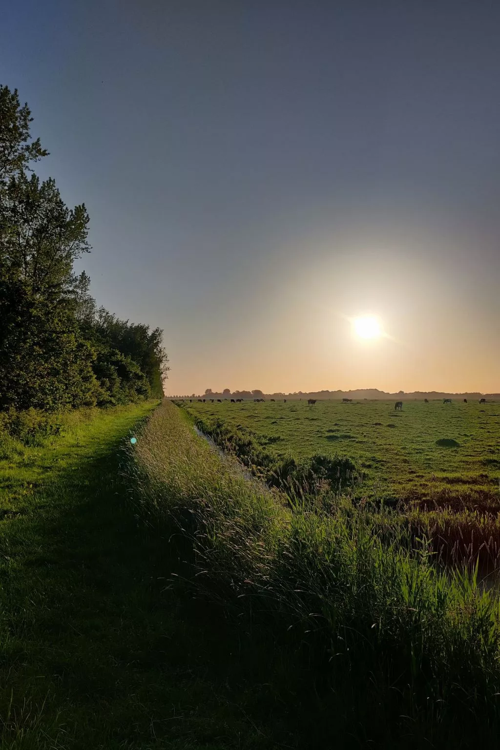 Appartement in Leeuwarden mit Privater Terrasse-Buiten