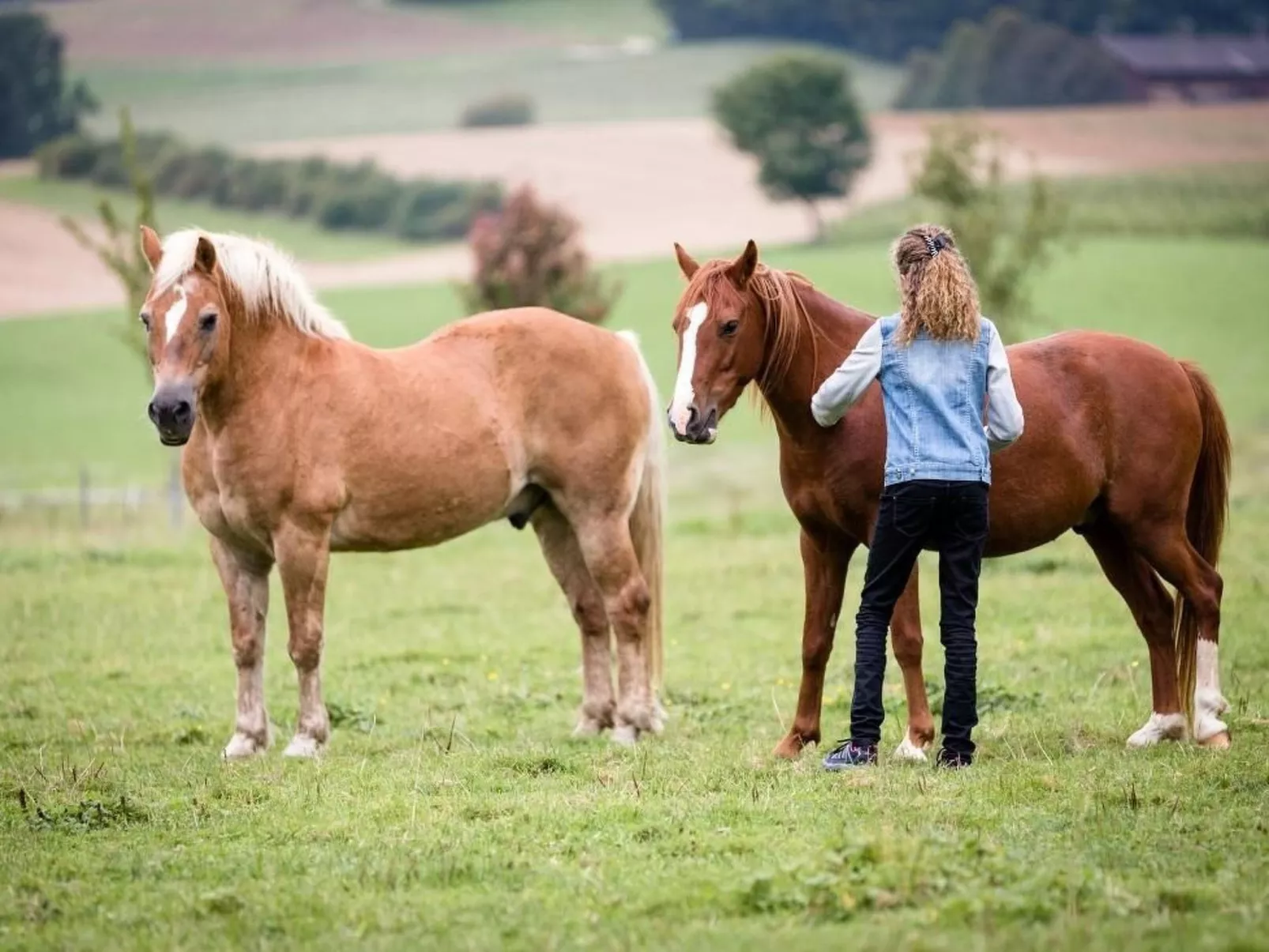 Wohnung Gîte rural de Courcelon-Image-tags.info