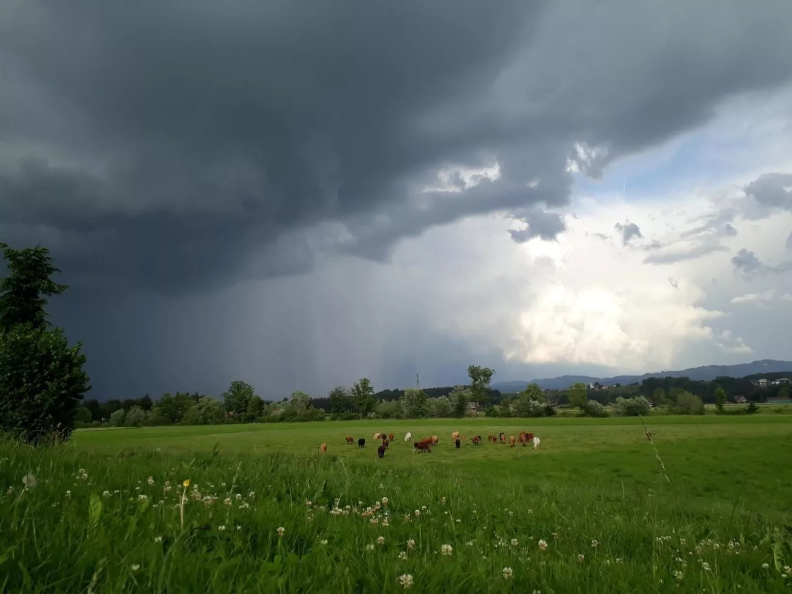 Sidlers Neuhof-Buiten