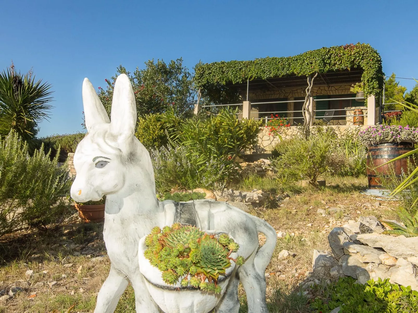 "Mirta" direkt am Strand-Buiten