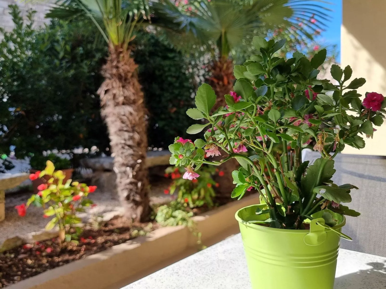 Für 4 Personen ca. 40 m&sup2; in Novigrad, Adriaküste Kroatien (Westküste von I-Buiten