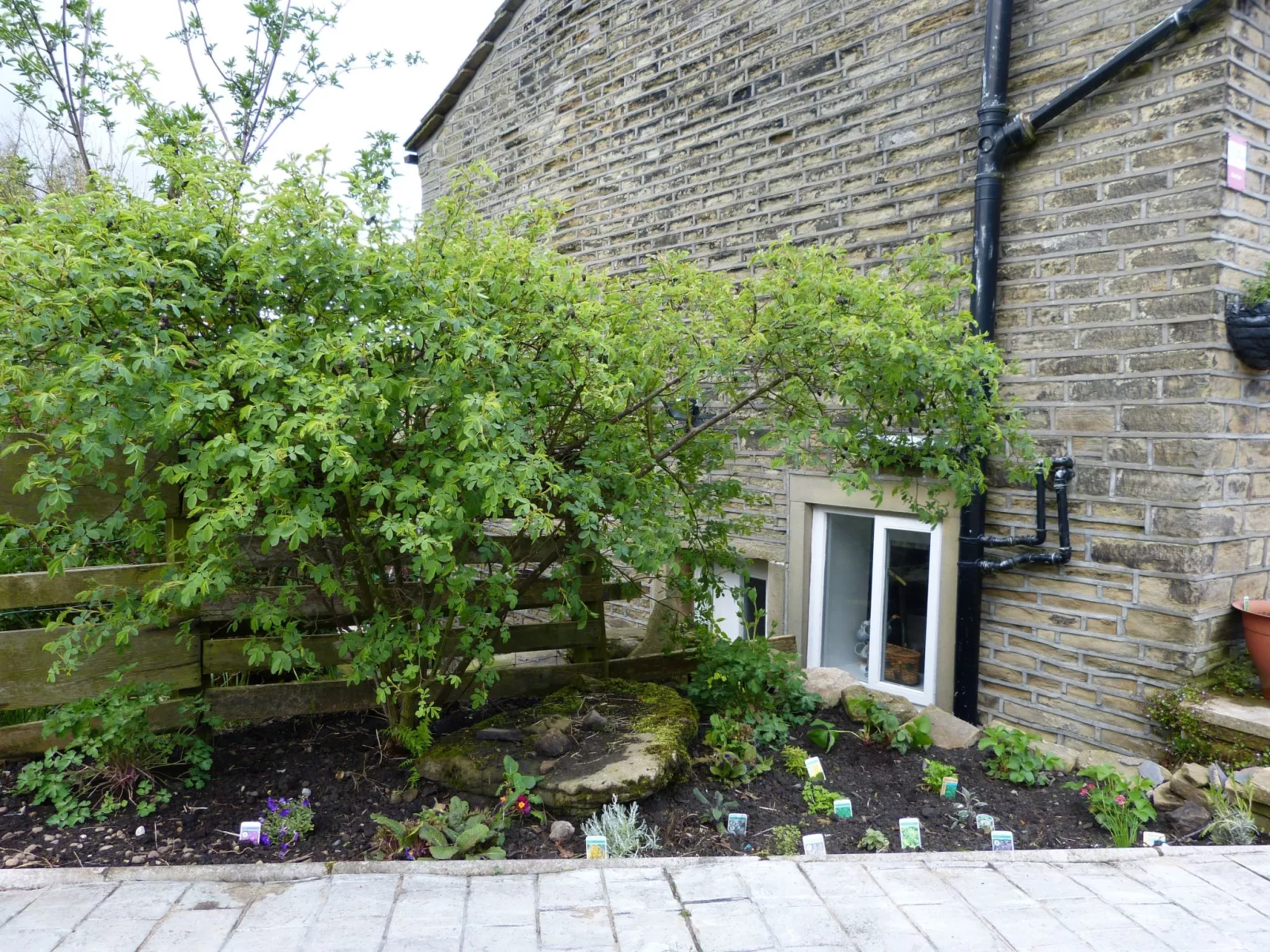 Gemütliches Ferienhaus für 2 Personen und 1 Kind-Buiten