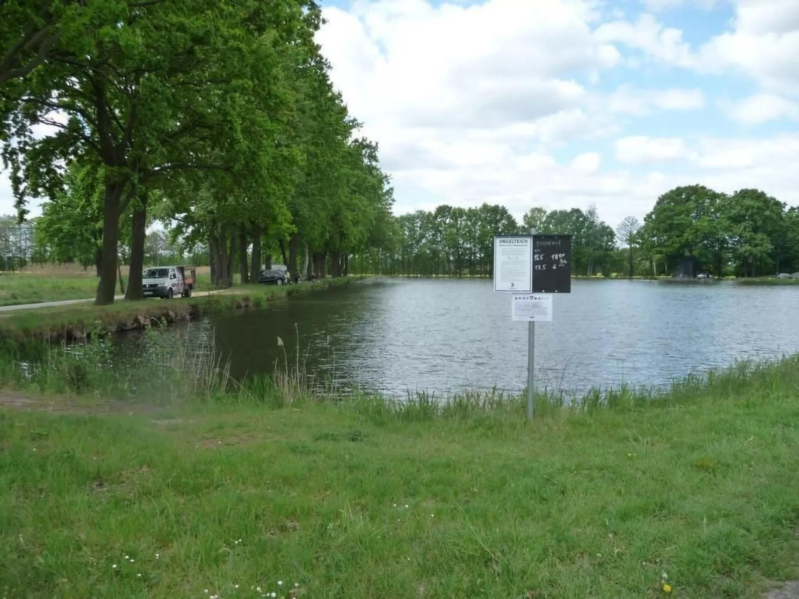 Biele-Image-tags.info