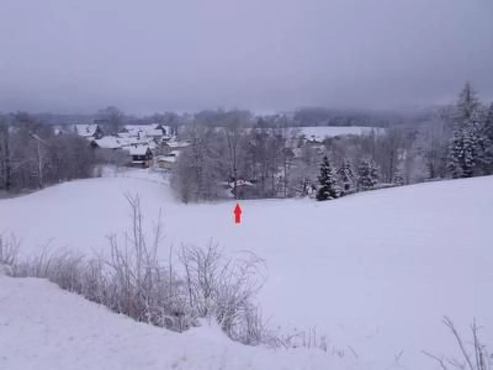 Mietz-Image-tags.info