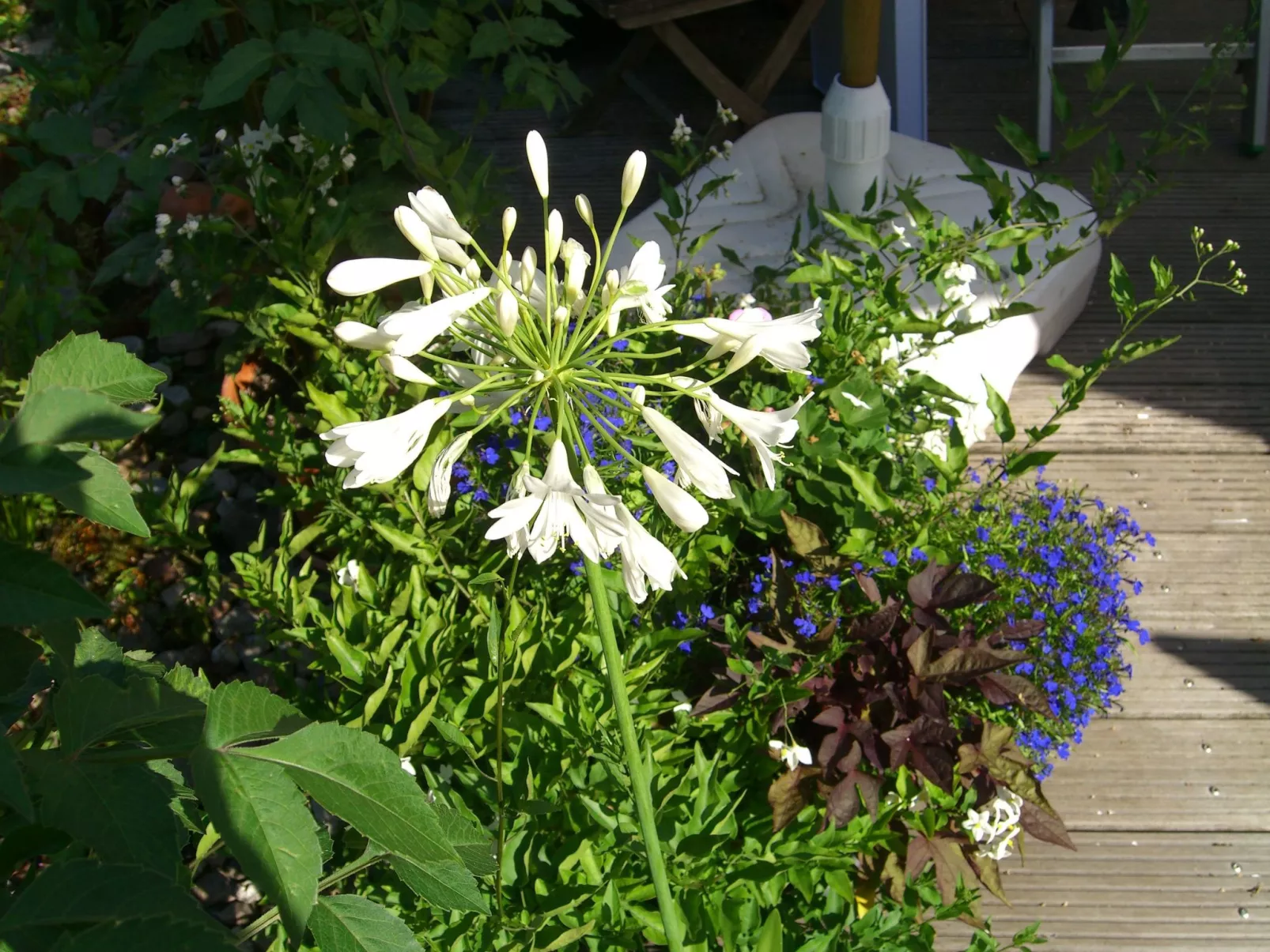 Gemütliches Ferienhaus in Fischbach Rhön-Buiten