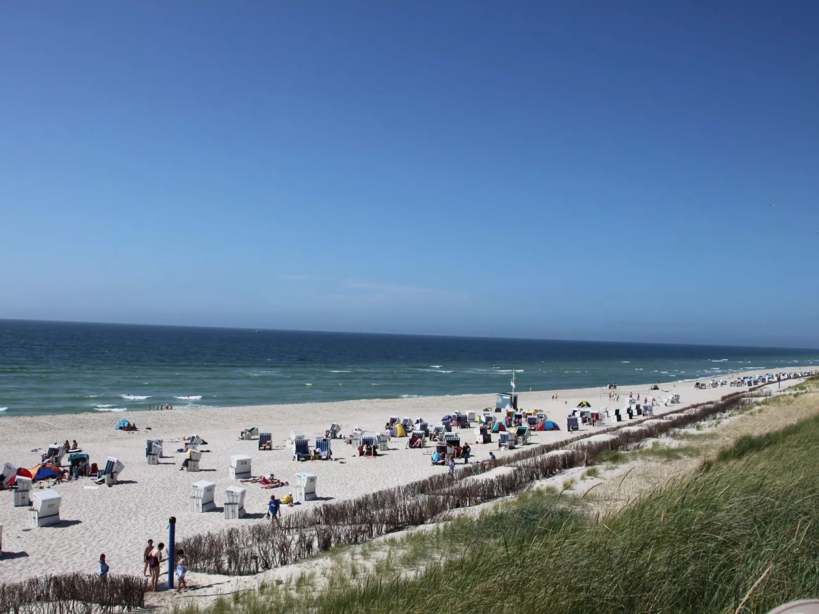 Strandfloh in Hörnum-Buiten