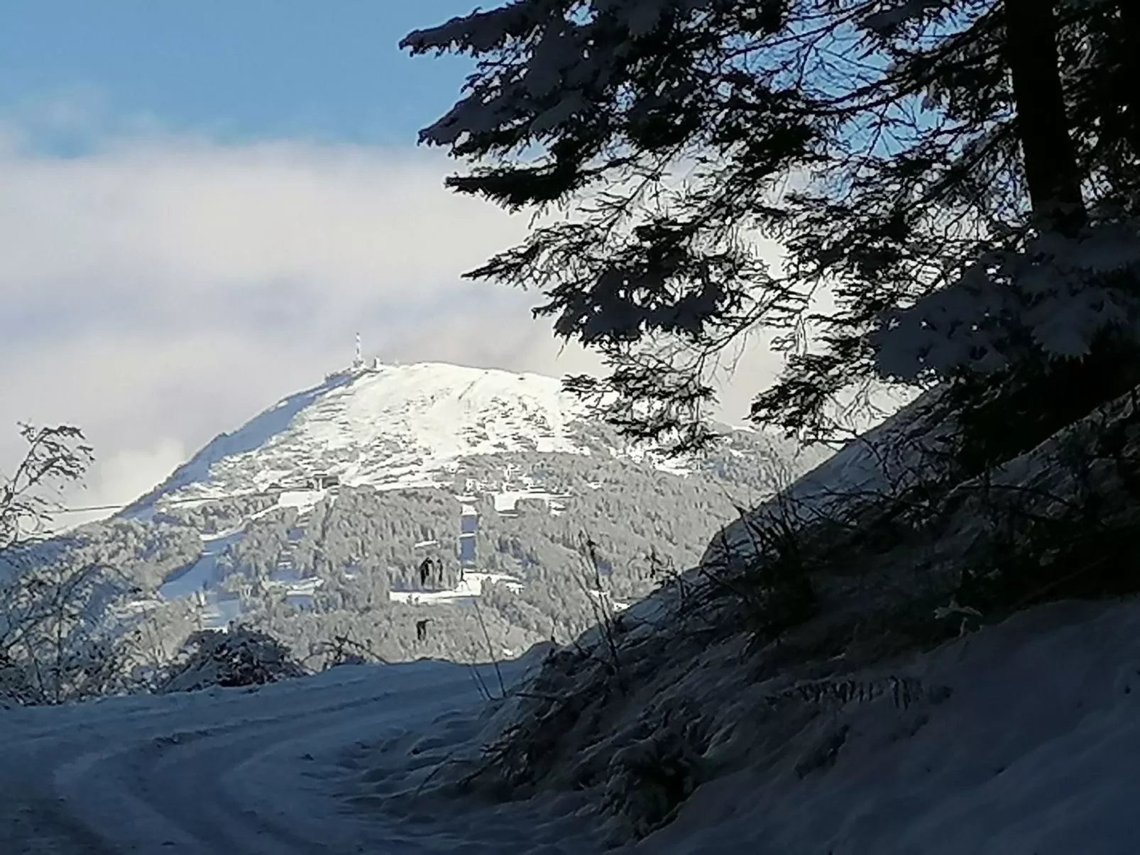 Riedbach in Mutters-Image-tags.info
