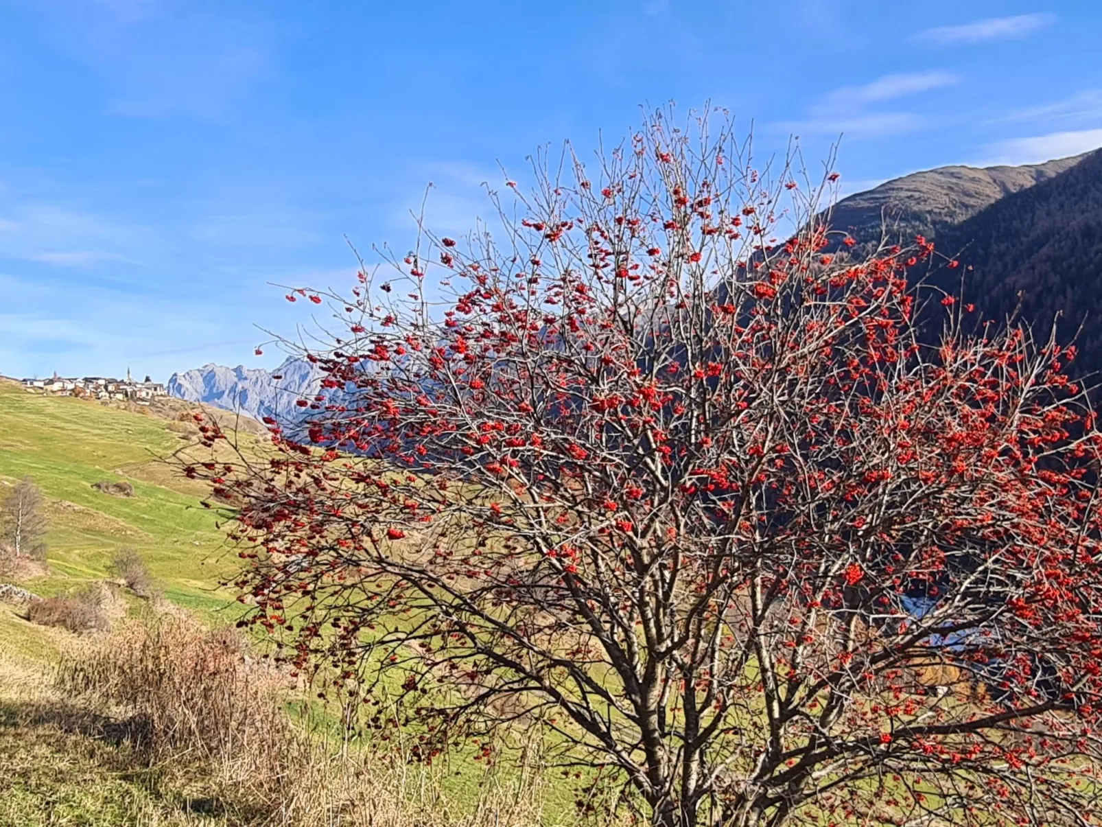 Wohnung mit atemberaubender Aussicht-Buiten