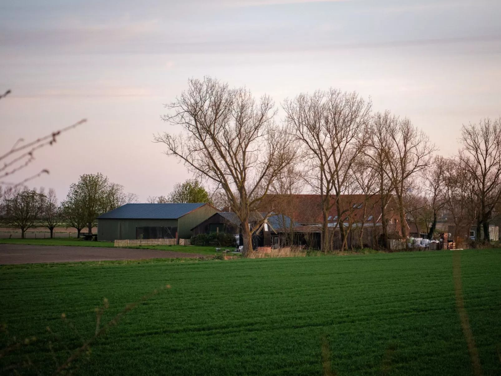 Einzigartiger Aufenthalt "The Moggershil" auf dem Bauernhof-Buiten
