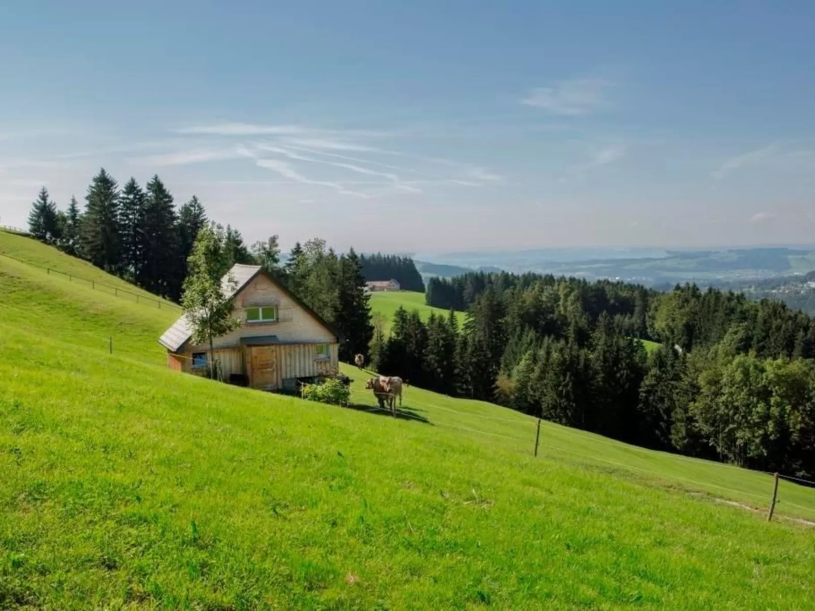 Bauernhof Fendrig  - neue Wohnung-Buiten