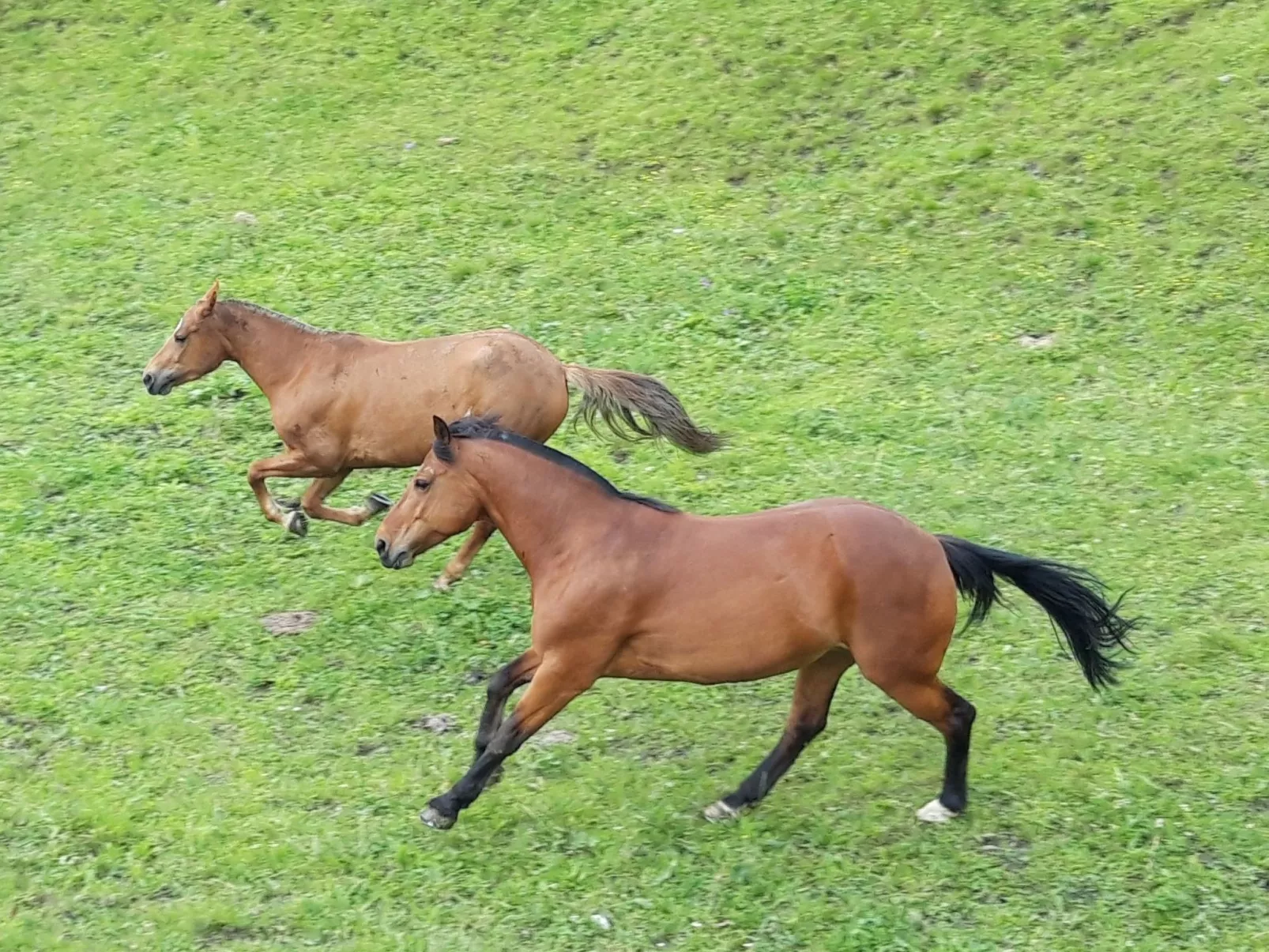 Hof Gross Gada-Image-tags.info