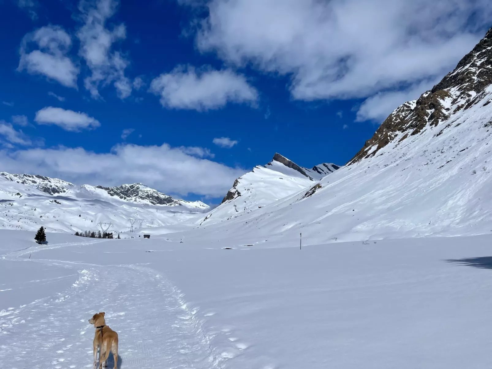 Al bel châlet-Buiten