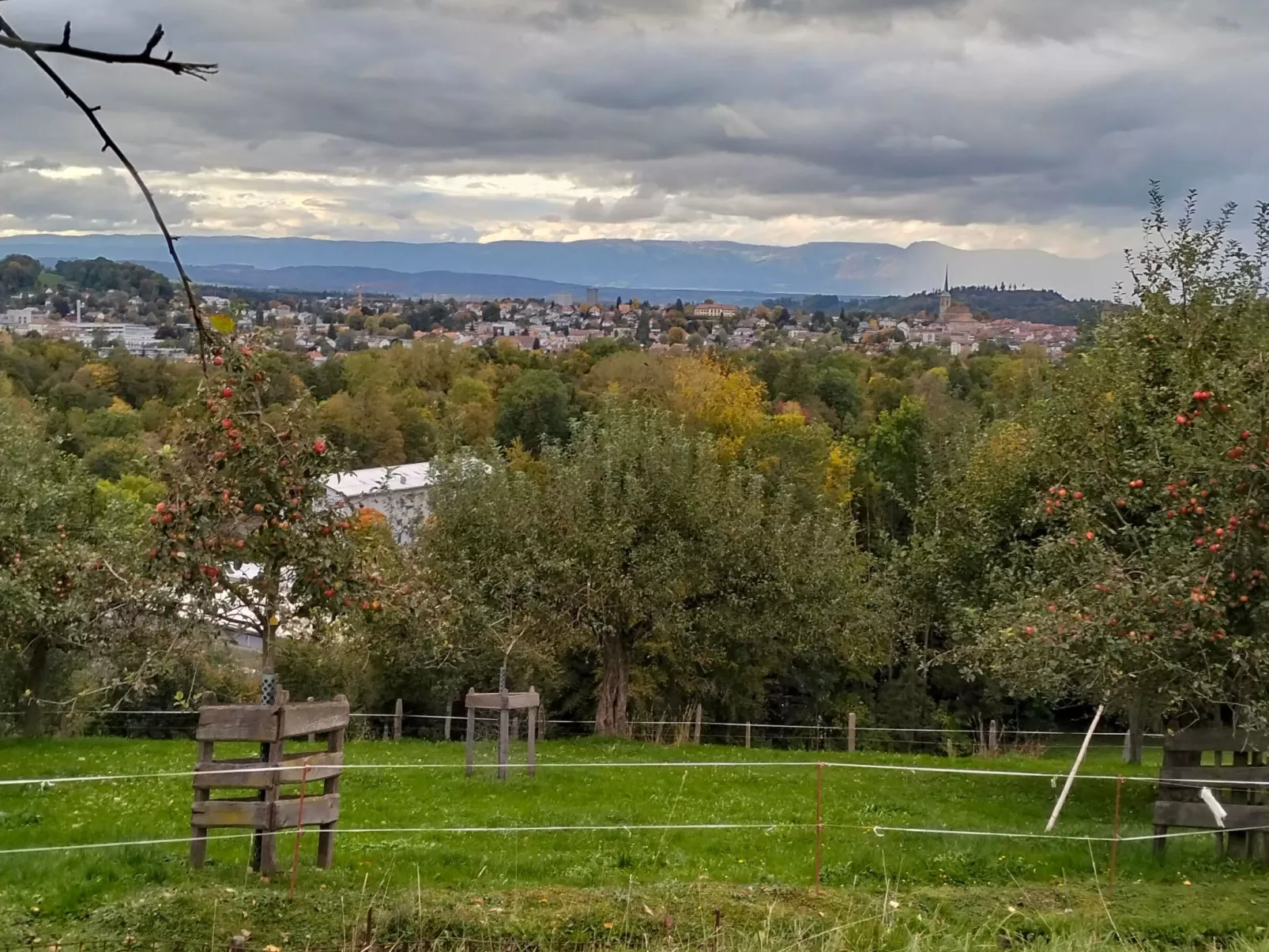 Bättwil-Image-tags.info