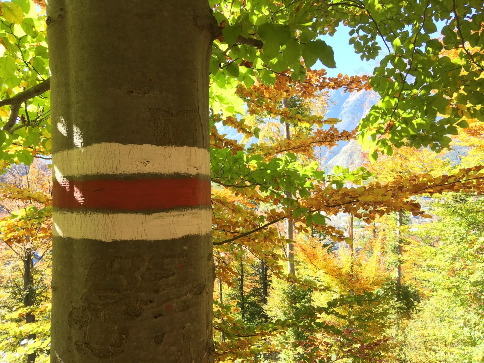 Guest House Chur-Buiten