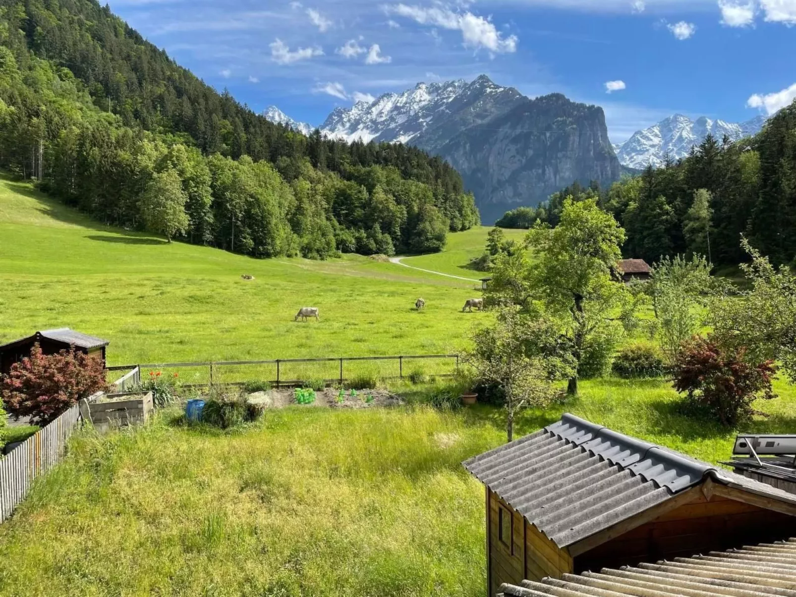 Alpine Home Streich-Buiten