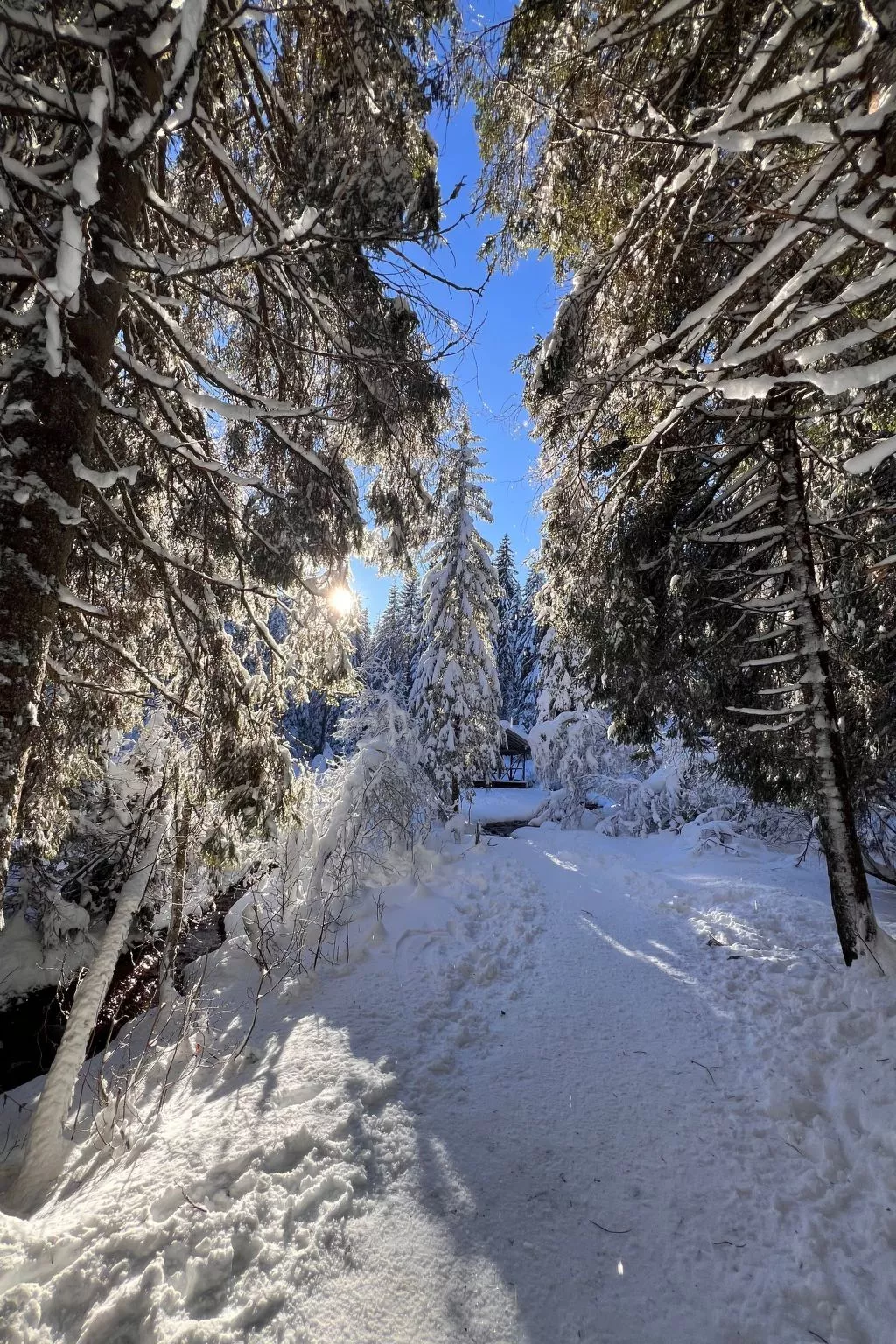 Peak App., Morgins-Buiten