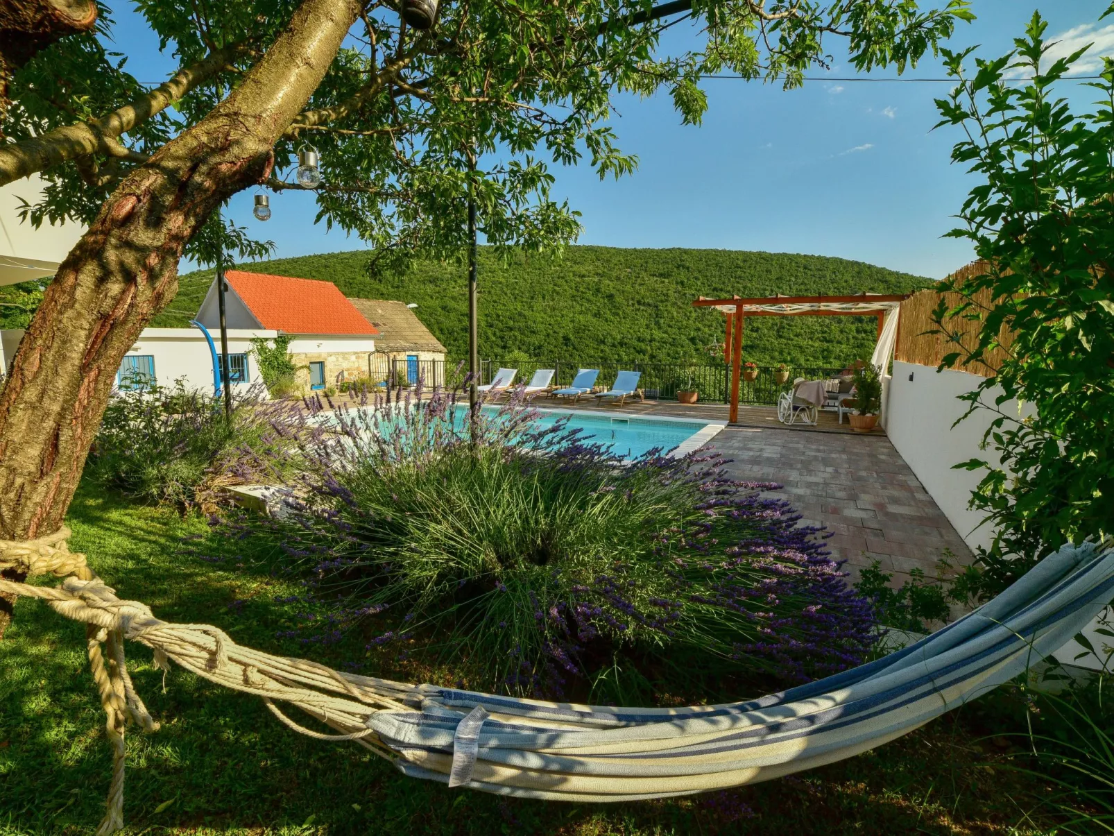 Dalmatinisches Landhaus Martin-Buiten