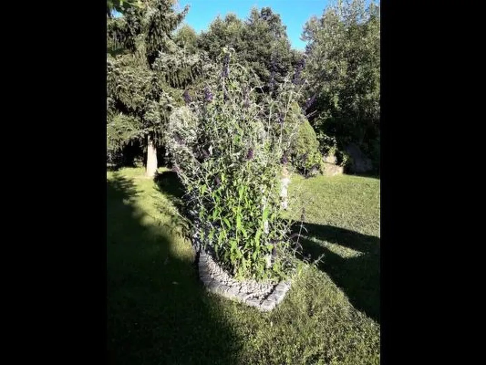 Marco in Eppenschlag-Buiten