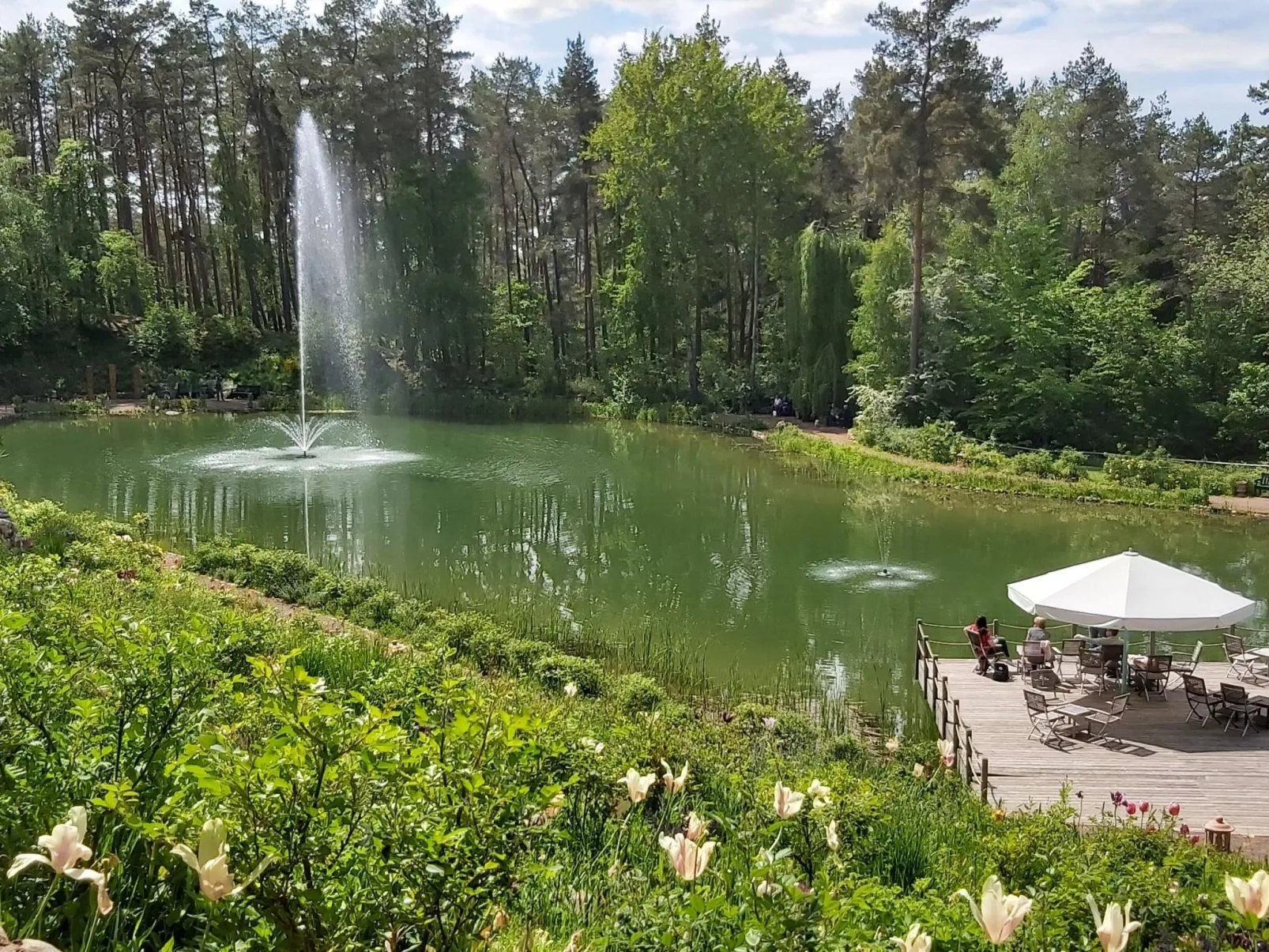 Wohnung in Jameln mit Garten, Grill und Terrasse-Buiten