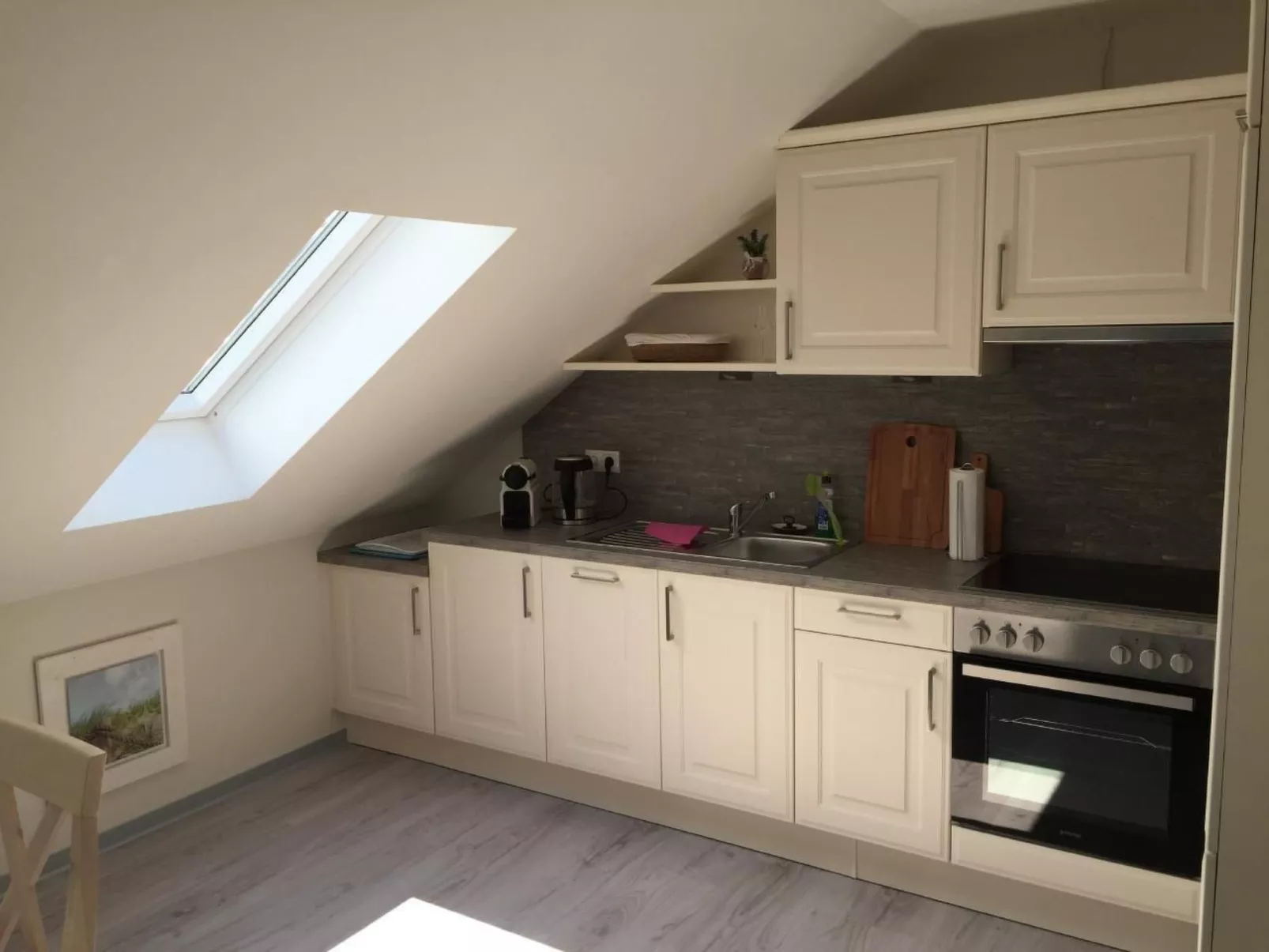 Möwe-Image-tags.info