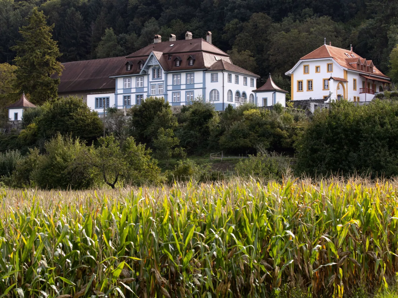 Chateau-Studio Bleu-Buiten