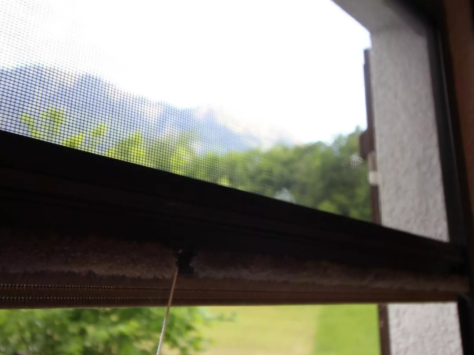 Bemer-Rempfler-Binnen