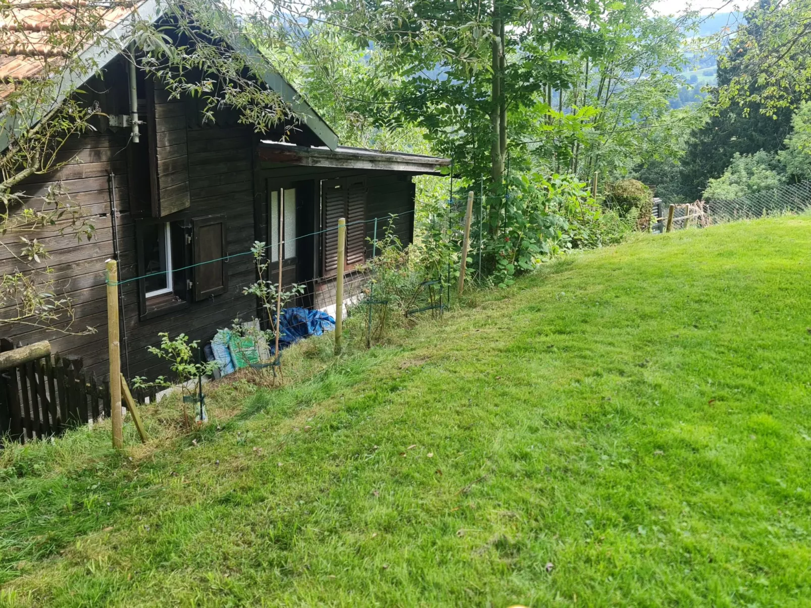 Bienenhaus Speicher-Image-tags.info