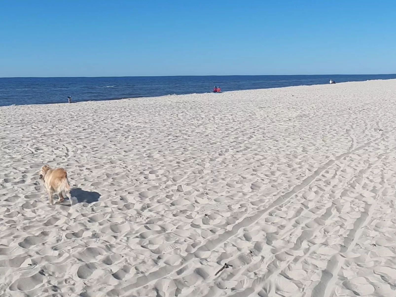 Atelier Wiselka-Buiten