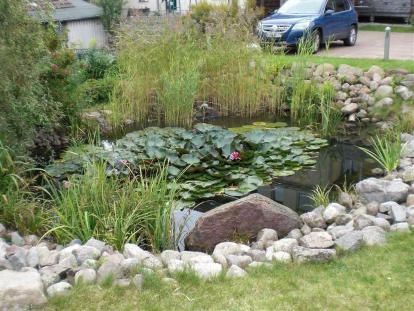 Mit Blick auf das Wasser-Buiten