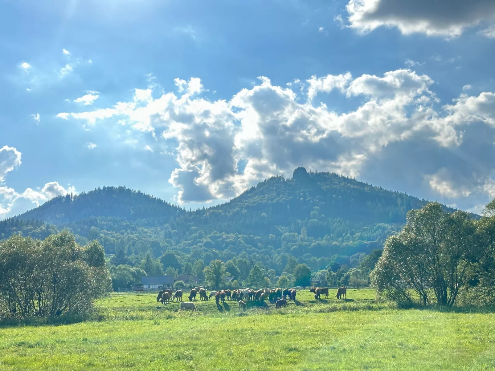 Für eine Familie mit Kindern-Buiten