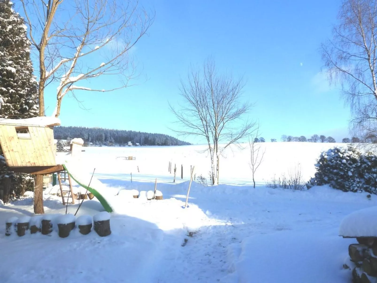 Pügner-Image-tags.info