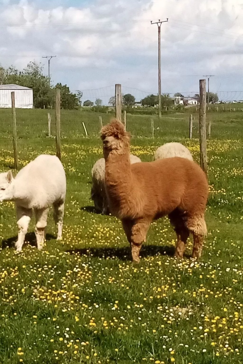 Herzfennerhof Loft-Image-tags.info