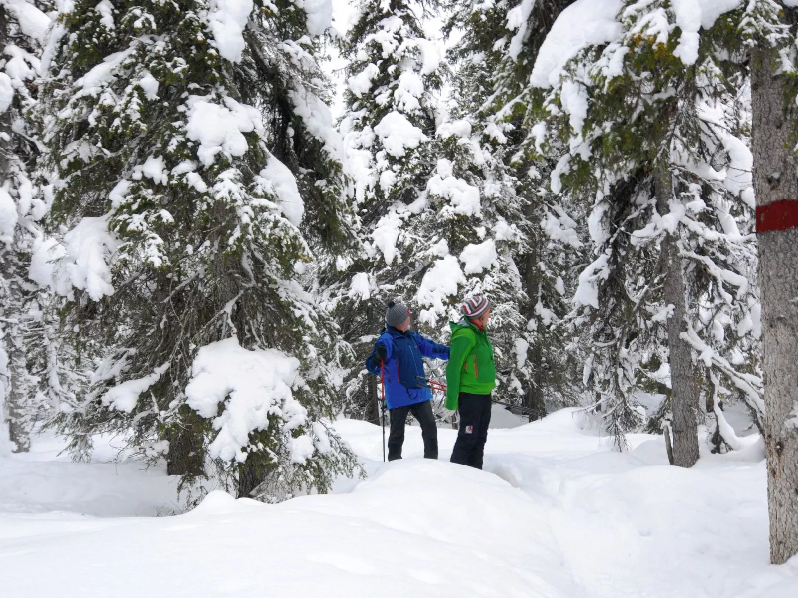 Charmantes modernes Blockhaus mit Kamin-Buiten