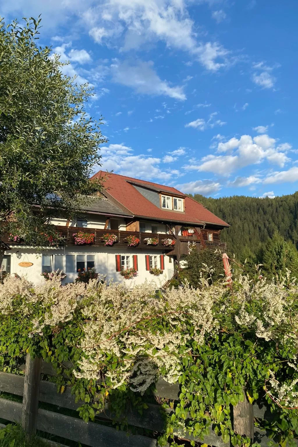 Haus Mauken - Appartments mit Panoramablick-Buiten
