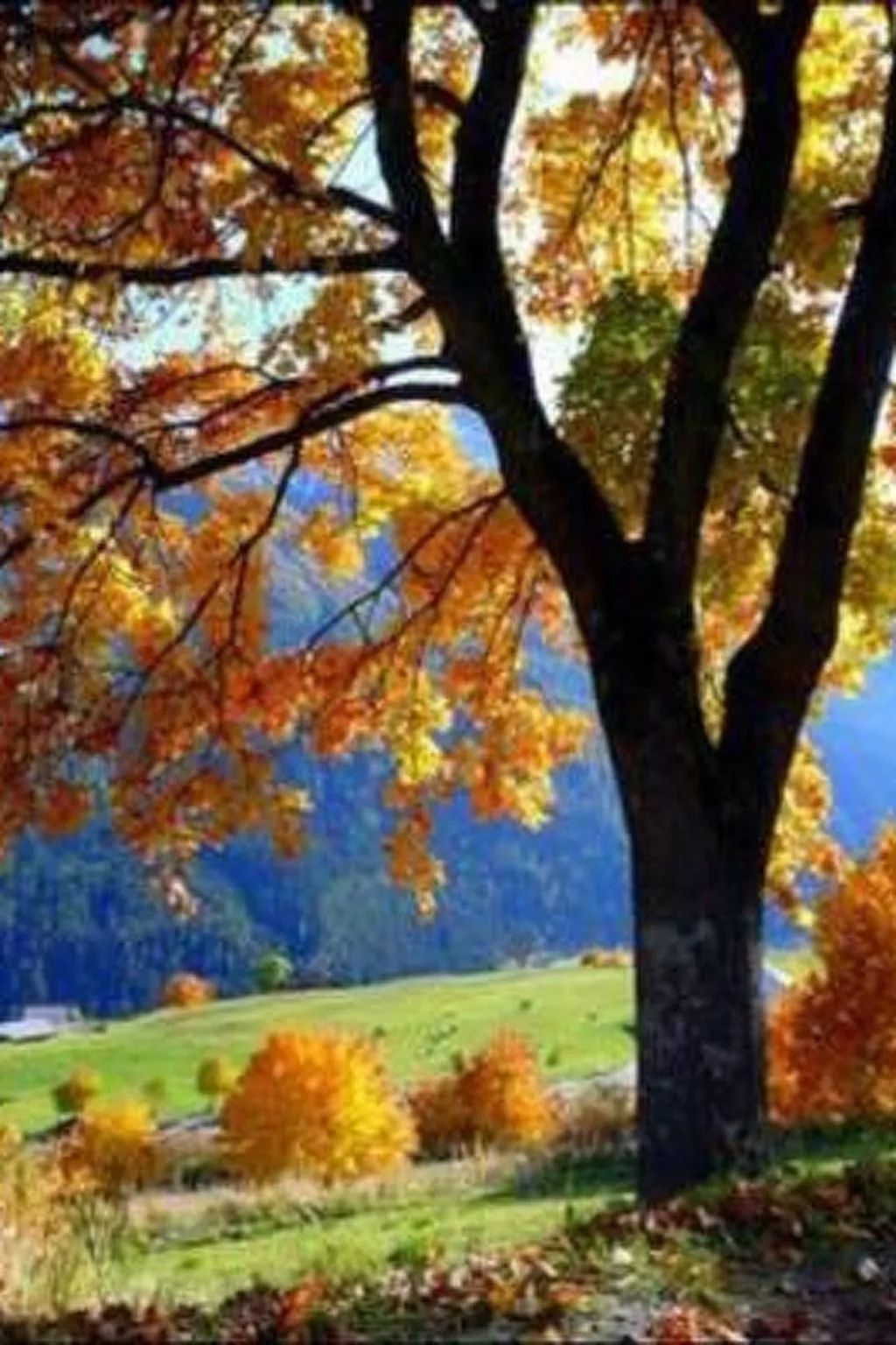 Alte typische Engadinermühle-Buiten