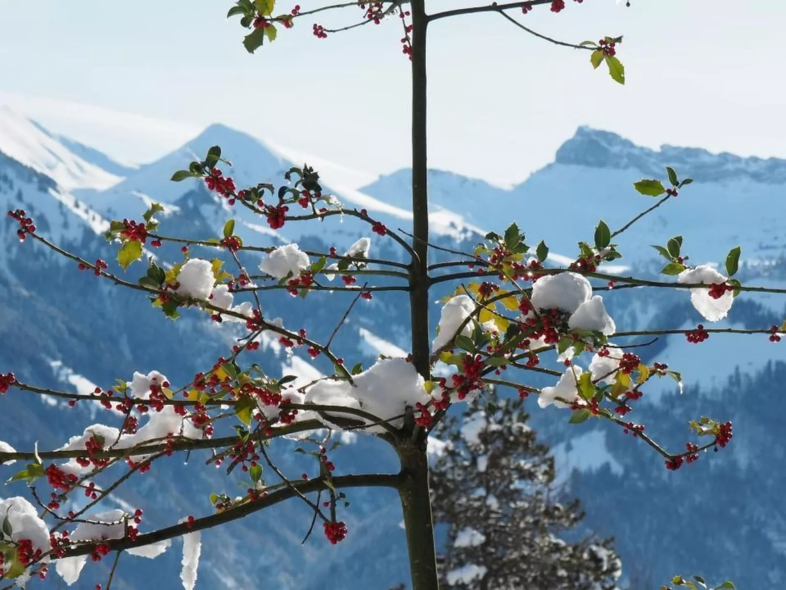 Ferien im Luegisland-Buiten