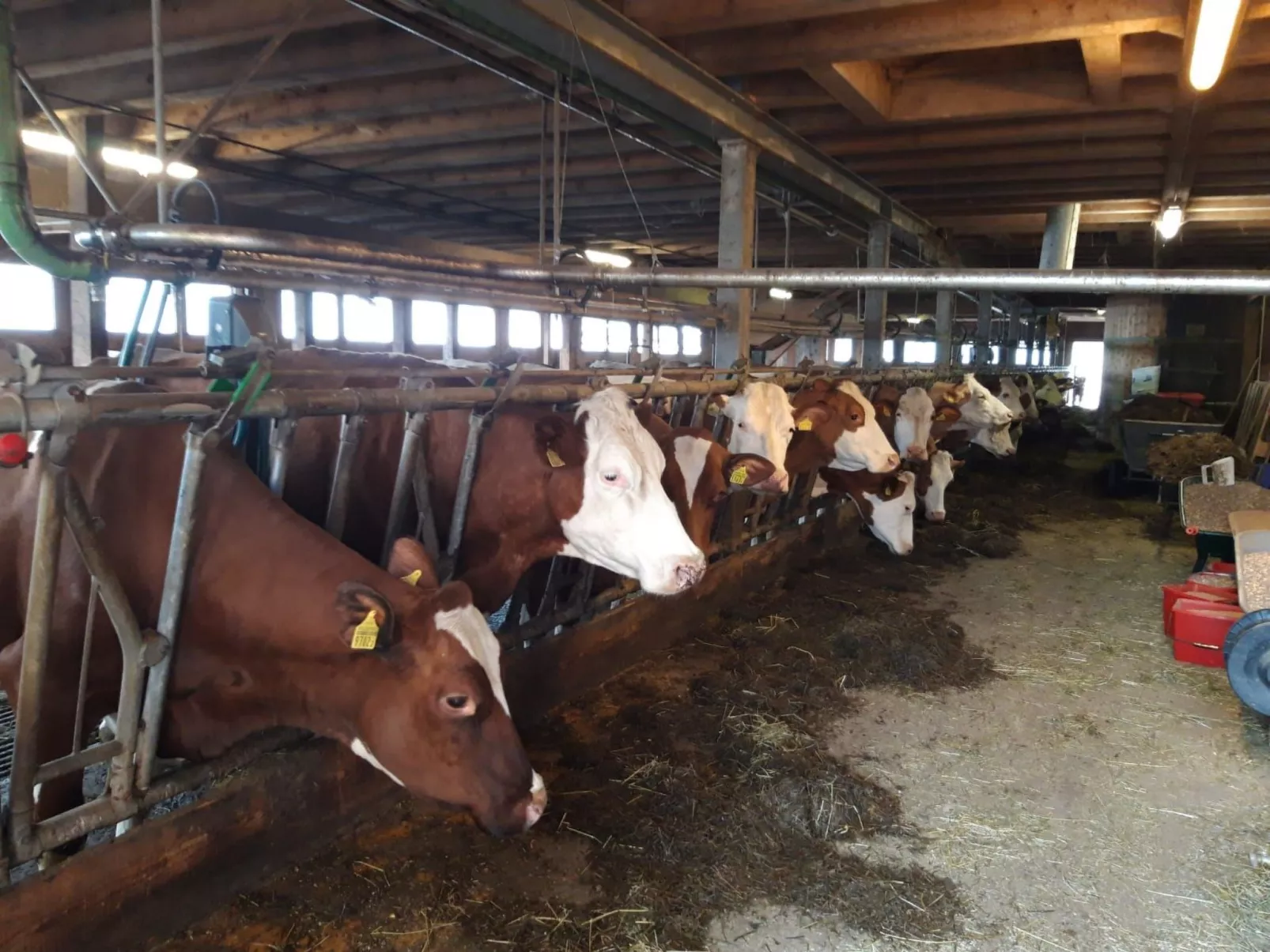 Fewo Wychelboden-Buiten